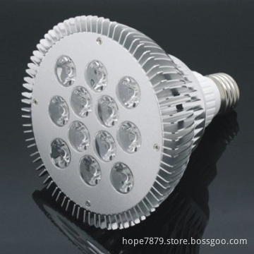 12W PAR38 LED Lamps